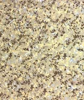 PVC Flooring A001-5
