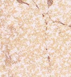 PVC Flooring A006-1