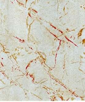 PVC Flooring A064-5