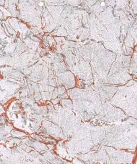 PVC Flooring A064-6