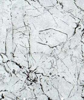 PVC Flooring A064-6N