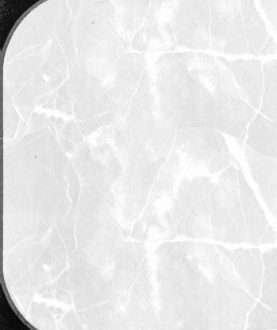 PVC Flooring A110-6S