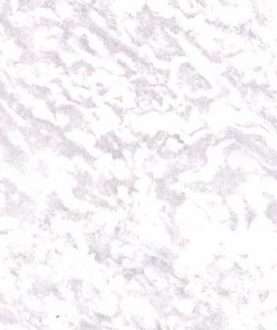 PVC Flooring SP024-3