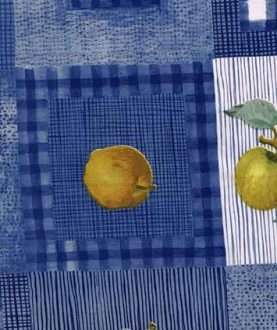 Vinyl Tablecloth TLT029-4