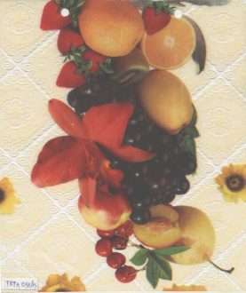 Vinyl Tablecloth TRTA031-5